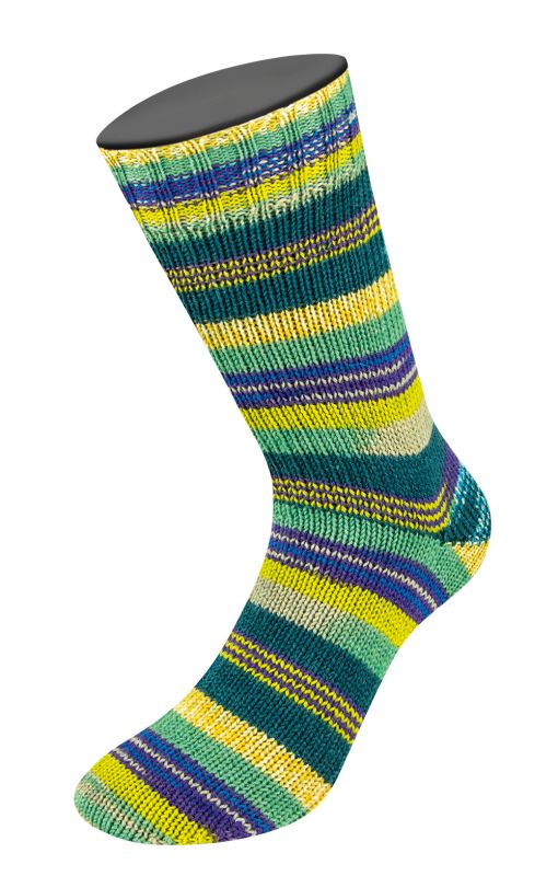 Color 6804