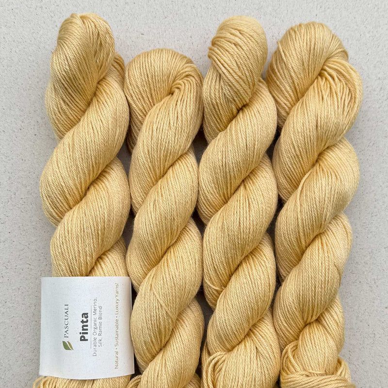 126 vanille (Pinta)