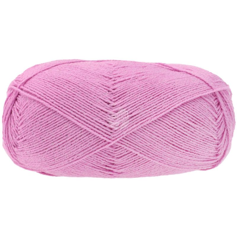 11810007 fuchsia