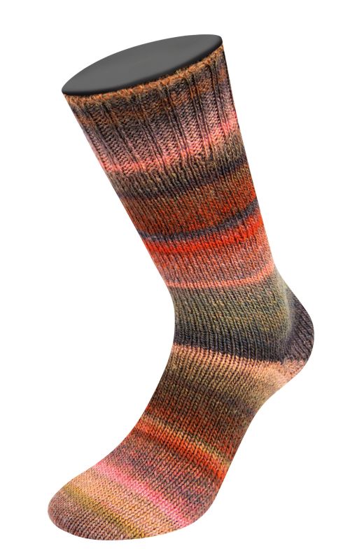 Color 6404