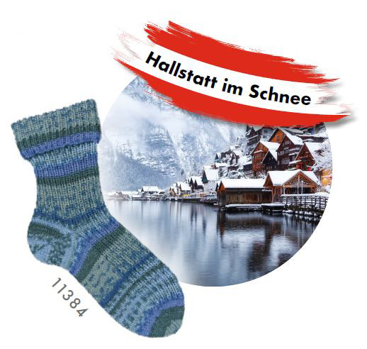 11384 Hallstatt im Schnee