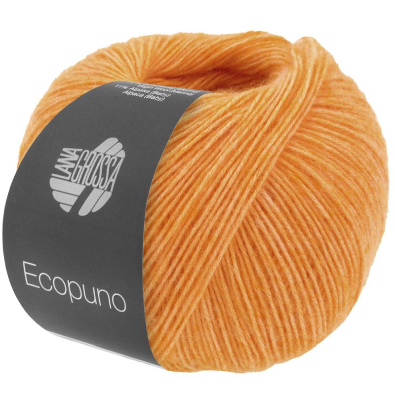 Ecopuno (Lana Grossa)