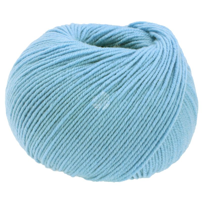 2098 Himmelblau