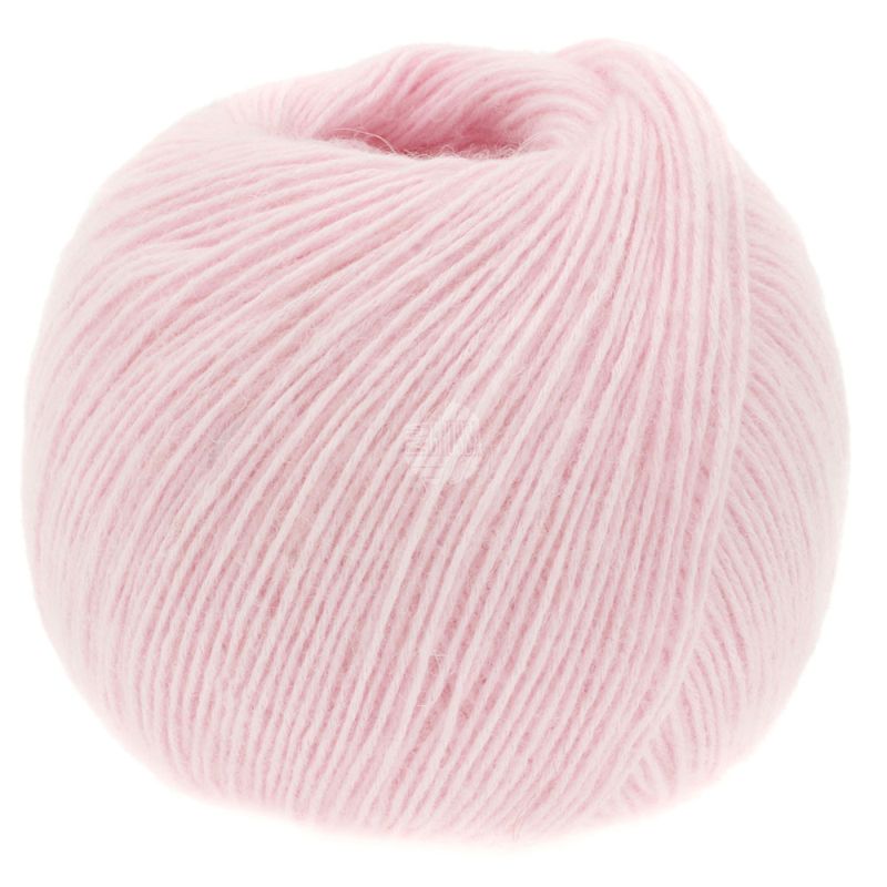 48 Rosa