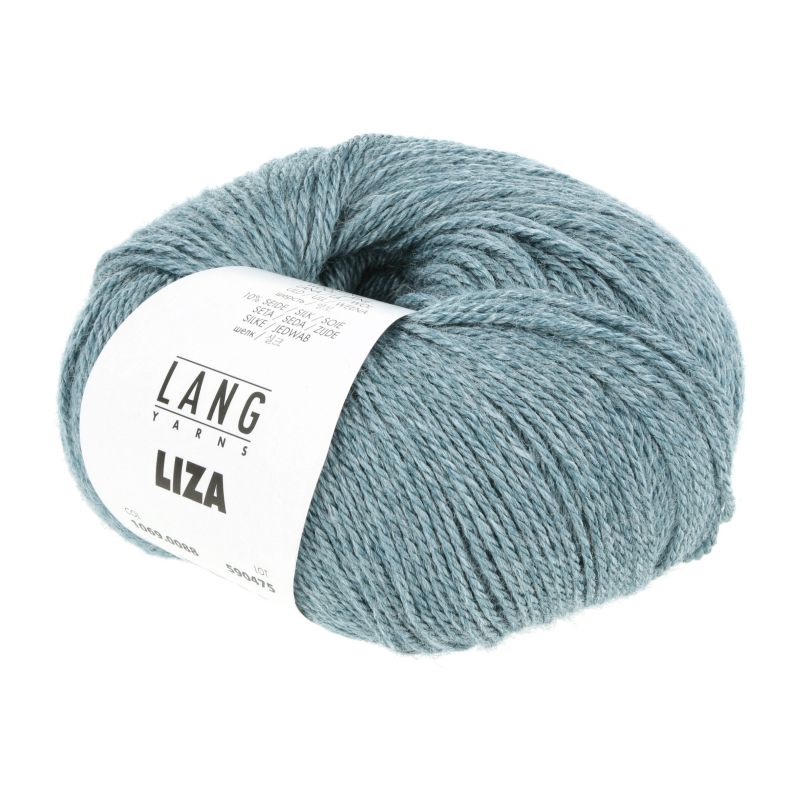 1069.0088 petrol (Liza)