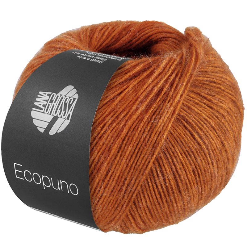 Ecopuno (Lana Grossa)